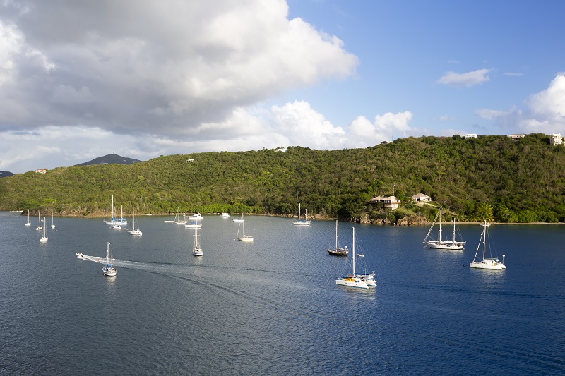 Numerous boats on the sea. In the background, there s a wooded coastline.