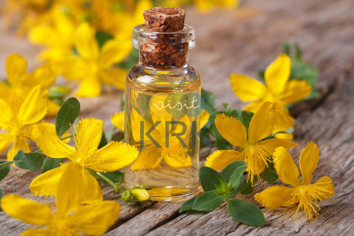 Meet the medicinal healing plants of the island of Krk!